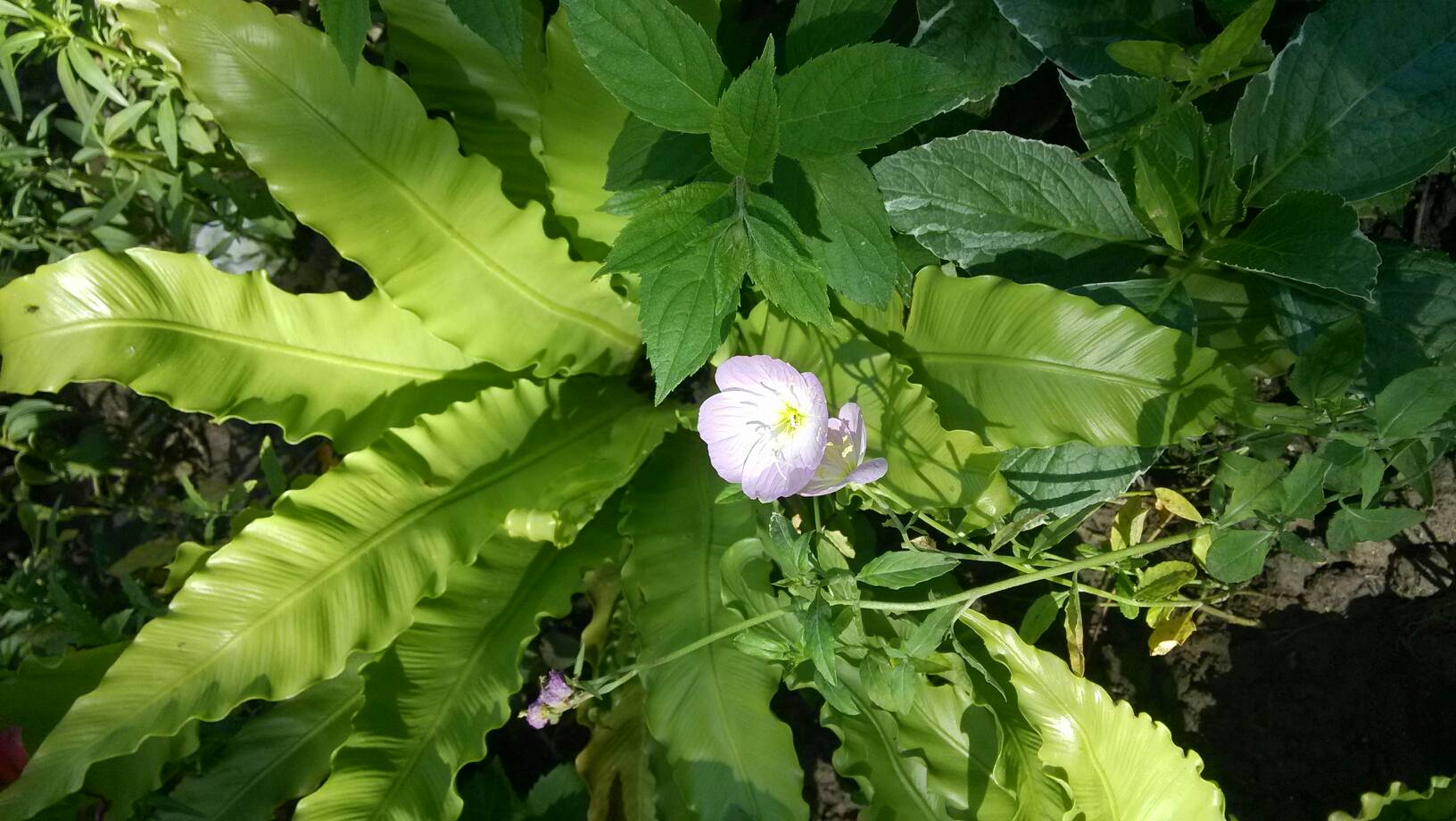 欧易交易所没网