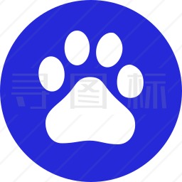 币安公司最新消息